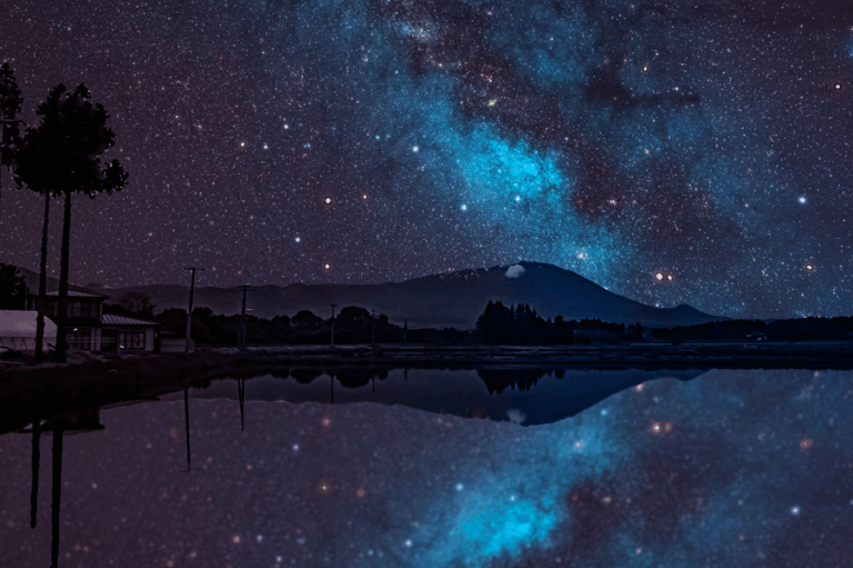 New Fairy Tale from Japan! Glowing Wild Chrysanthemum